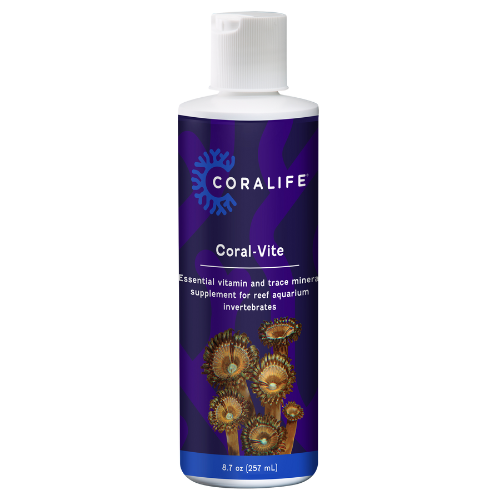 Coral-vite