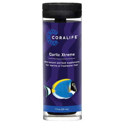 Garlic in aquarium deals